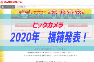 21年のビックカメラ福箱が発表 過去情報と照らし合わせる ぶちくまどっとこむ