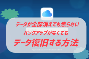 バックアップせずにデータをまるごと消去してしまった場合の復旧方法 ぶちくまどっとこむ