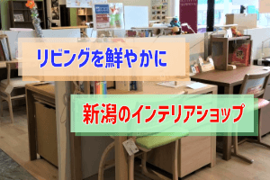 新潟で探す リビングのインテリア 家具を購入できるお店 ぶちくまどっとこむ