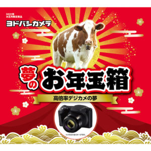 高倍率デジカメの夢が2021年のヨドバシカメラのお年玉箱として販売開始