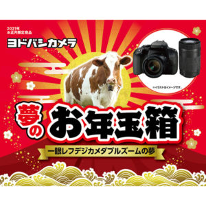 一眼レフズームデジカメダブルズームの夢が2021年のヨドバシカメラのお年玉箱として販売開始