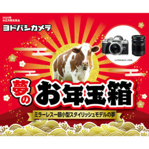 ミラーレス一眼小型スタイリッシュモデルの夢が2021年のヨドバシカメラのお年玉箱として販売開始