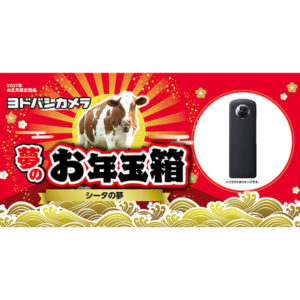 シータの夢が2021年のヨドバシカメラのお年玉箱として販売開始