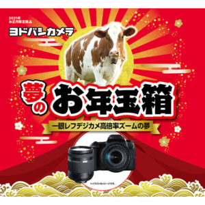 一眼レフデジカメ高倍率ズームの夢が2021年のヨドバシカメラのお年玉箱として販売開始