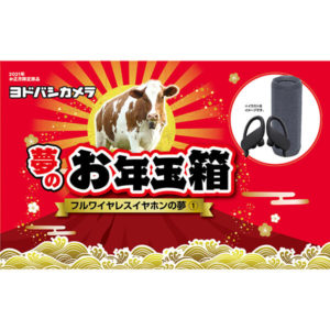 フルワイヤレスイヤホンの夢①が2021年のヨドバシカメラのお年玉箱として販売開始