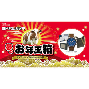 メンズカジュアルウォッチの夢が2021年のヨドバシカメラのお年玉箱として販売開始