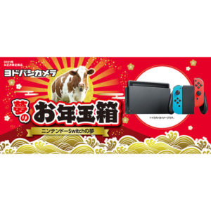 ニンテンドーSwitchの夢が2021年のヨドバシカメラのお年玉箱として販売開始