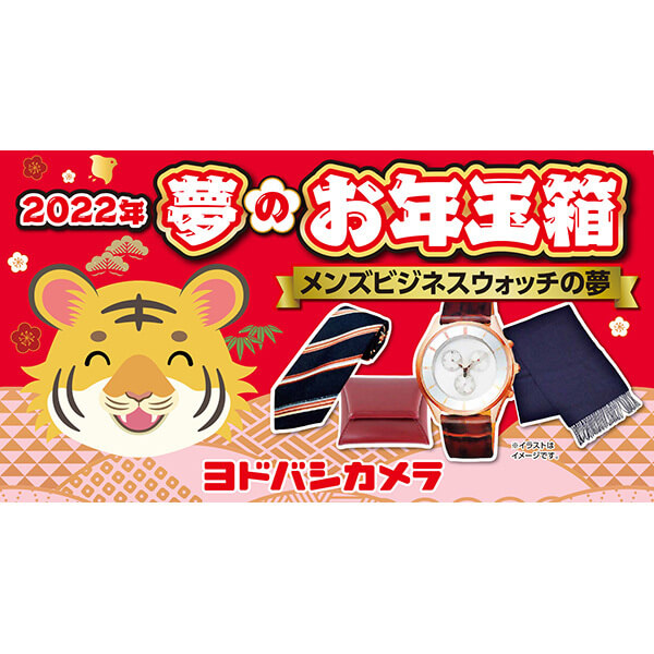 夢のお年玉箱2022 メンズビジネスウォッチの夢