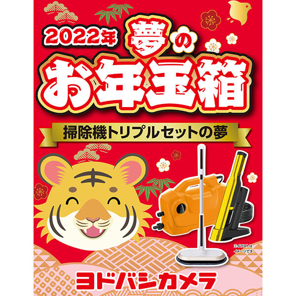 夢のお年玉箱2022 掃除機トリプルセットの夢